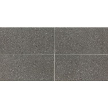 Neospeck Tile 12" x 24" - Dark Gray