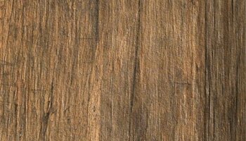 Bio-Recover Wood Look Tile - 8