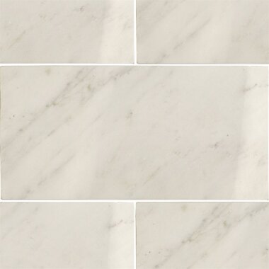 Asian Statuary Tile Polished 12" x 24" - Asian Statuary