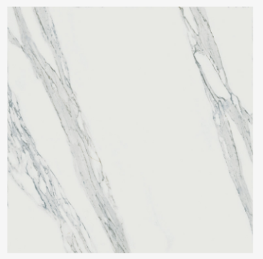 Polished JW02 12" x 24" - Calacatta