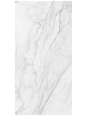 Plata Field Tile "Matte" 24" x 48" - Statuario Brina