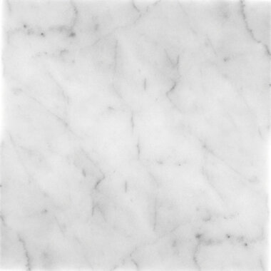 Field Tile Honed 12" x 24" - Carrara