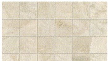 Fossil Tile Mosaic 2