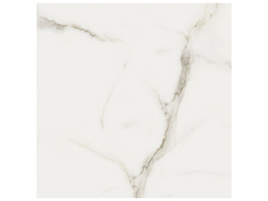 Mayfair Tile 24" x 24" - Calacatta Oro Matte