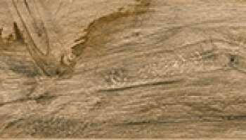 Savannah Series Tile 6