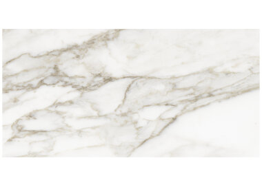 La Marca Tile 12" x 24" - Calacatta Paonazzo Polished