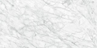 Plata Field Tile "Matte" 24" x 48" - Carrara Abisso
