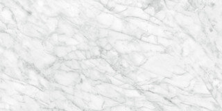 Plata Field Tile "Matte" 24" x 48" - Carrara Abisso