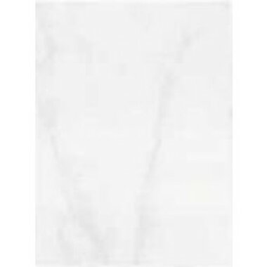 Statuario Tile 10" x 13" - Blanco