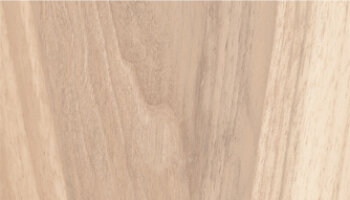 Hike Wood Look Porcelain Tile 