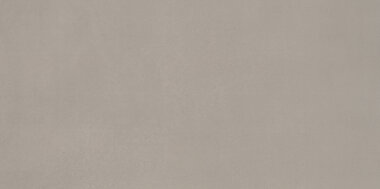 Neoconcrete Tile 12" x 24" - Light Gray Matte