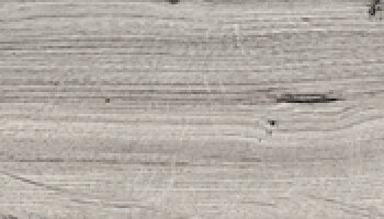 Italwood Tile 6