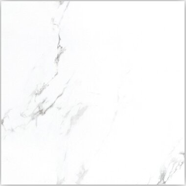 Statuario Extra Matte 12" x 24" - White