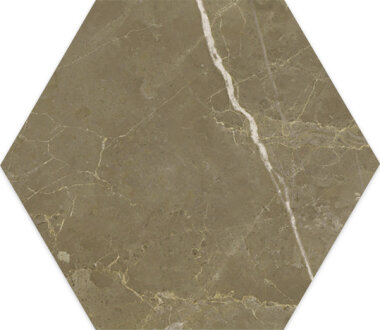 Roma Series Tile Hexagon 10" x 10" - Imperiale