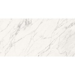 Trumarmi Polished Tile 24" x 48" - Venatino