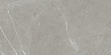 Rhapsody Tile 24" x 48" - Allure