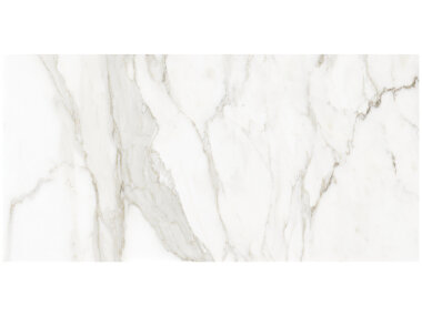 La Marca Tile 24" x 48" - Calacatta Paonazzo Polished