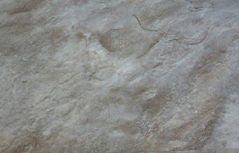 coretec - fusion hybrid floor vinyl 12" x 24" - ashton slate coretec - fusion hybrid floor vinyl 12" x 24" - ashton slate