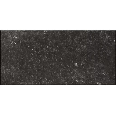 Belgica Tile 12" x 24" - Belgica