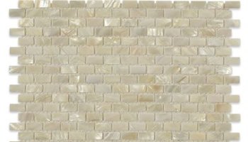 Freshwater Shell Tile Mini-Brick 1/4