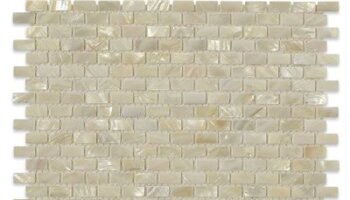 Freshwater Shell Tile Mini-Brick 1/4