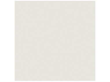 Prima Tile 24" x 24" - Warm White Matte