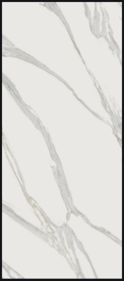 Polished JW02 6" x 24" - Calacatta