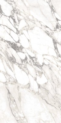 Carrara Select Tile Matte 24" x 48" - Arabescato
