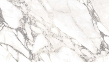 Carrara Select Tile Matte 24