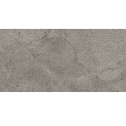 Blue Savoy Tile 12" x 24" - Grey