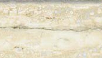 Tipos Bullnose Tile 3