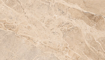 Coast Tile 24