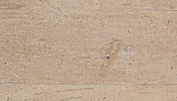 Wood2 Wood Look Porcelain Tile 12