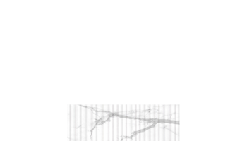 Raffino Alto Wall Marble Look Tile 12