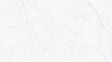 Carrara Marble Look Tile 12" x 24" - Carrara