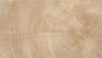 W Age Wood Look Porcelain Tile 24
