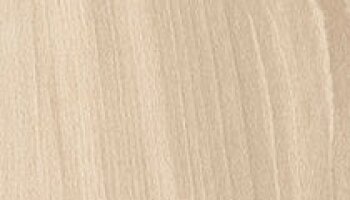 Woodscape Tile 8