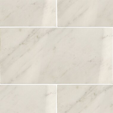 Asian Statuary Tile 6" x 12" - Asian Statuary