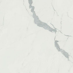 Anima Marble Look Tile 24" x 24" - Statuario Venato
