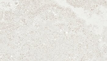 Chamonix  Bullnose Tile 4