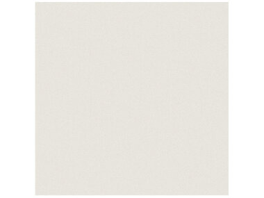Prima Tile 12" x 12" - Warm White Matte